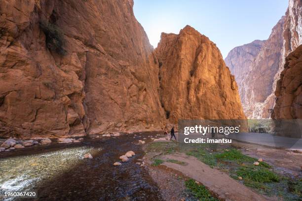 todgha gorge or gorges du toudra is a canyon in high atlas mountains near the town of tinerhir, morocco. - south stock pictures, royalty-free photos & images