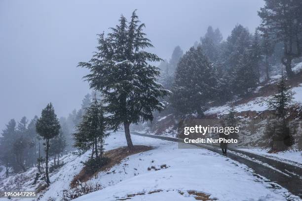 Fresh snowfall is ending the dry spell of winter in the Baramulla district of North Kashmir, Jammu and Kashmir, India, on January 28, 2024. Various...