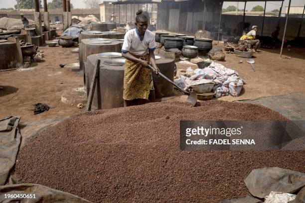Woman spreads shea nuts in a shea butter artisanal factory in Korhogo on January 28,2024