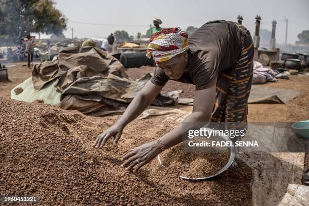 Woman spreads shea nuts in a shea butter artisanal factory in Korhogo on January 28,2024