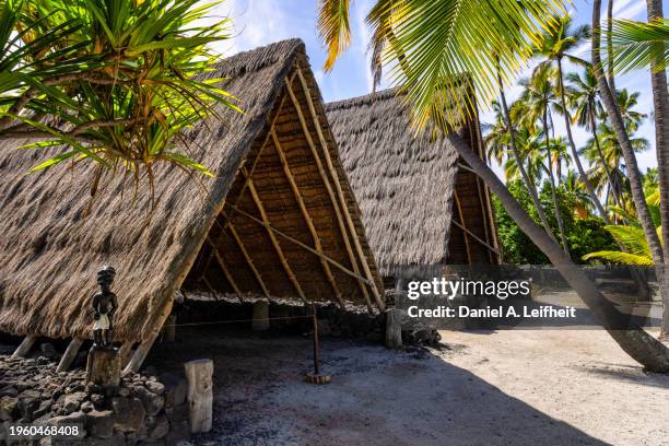 canoe house at pu'uhonua o honaunau national historical park in hawaii - tiki stock pictures, royalty-free photos & images