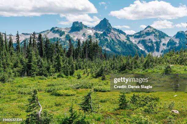 mount ranier national park landscape - mount rainier nationalpark stock-fotos und bilder