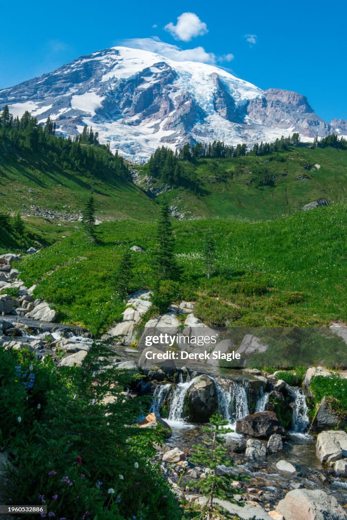 Mount Ranier National Park Landscape