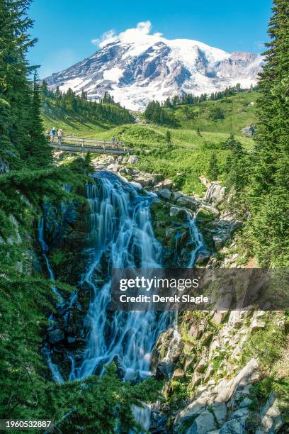 mount ranier national park landscape - mount rainier nationalpark stock-fotos und bilder