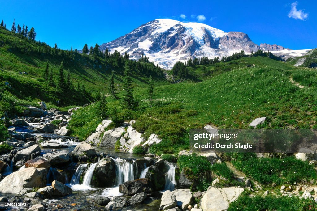 Mount Ranier National Park Landscape