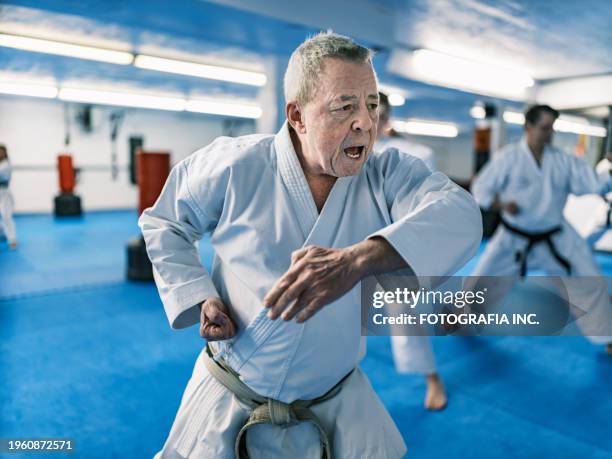 sensei teaching young karate fighters in karate school - martial arts stock pictures, royalty-free photos & images