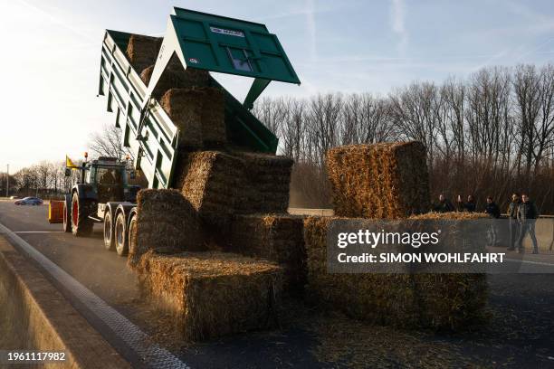 Tractor empties bales of straw from a trailer during a farmer's protest organised by the Federation of young Walloon farmers , at the Daussoulx...