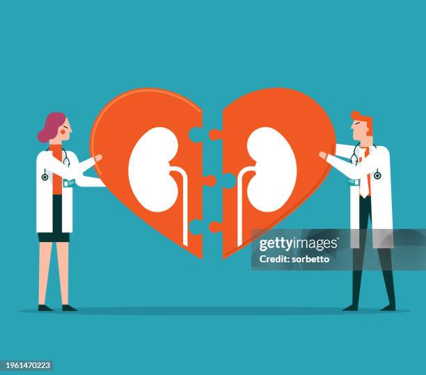 kidneys donation - team of doctors - kidney donation stock illustrations