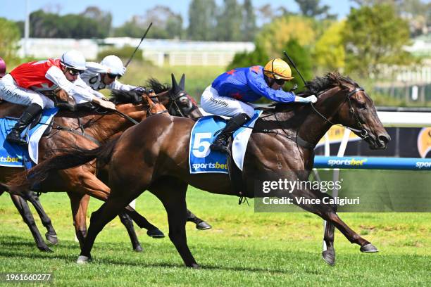Harry Coffey riding Queman winning Race 5, the W.j. Adams Stakes, during Melbourne Racing at Caulfield Racecourse on January 26, 2024 in Melbourne,...