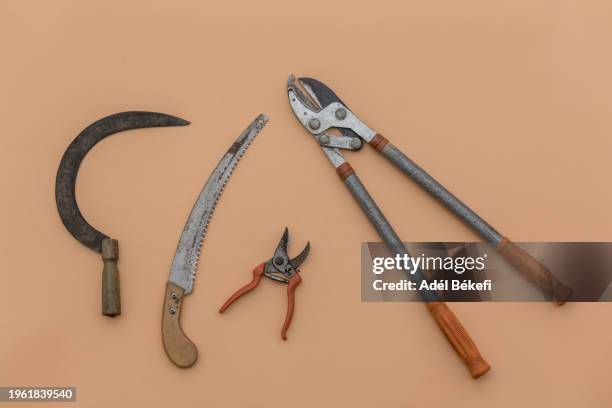sickle, saw, hand pruner and bypass lopper on the orange background - hand saw stock pictures, royalty-free photos & images