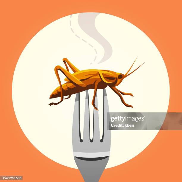 insect on a fork - cricket insect stock illustrations