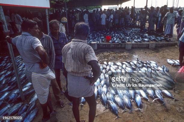 Fisch market in the Maldivian capital Male on January 28, 2024 in Male, Maldives. In addition to tourism, fishing is an important source of income.
