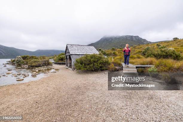 ruhe am ufer: eine wanderin erreicht den seestrand und genießt die ruhe des naturparadieses - hiking tasmania stock-fotos und bilder