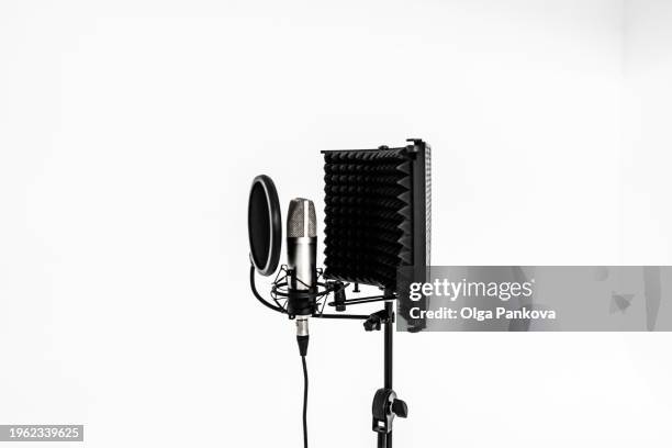 the singer's microphone on a white background - microfoonstandaard stockfoto's en -beelden