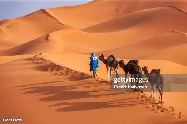 young tuareg with camels on western sahara desert in africa - marokko stock-fotos und bilder
