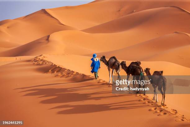 young tuareg with camels on western sahara desert in africa - merzouga stockfoto's en -beelden