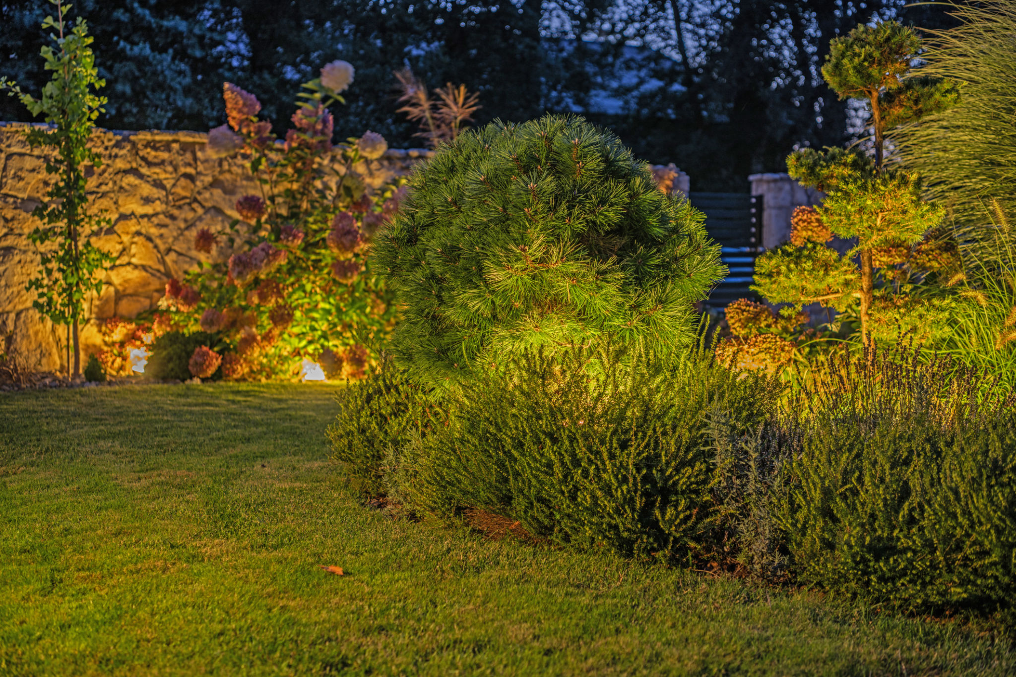 led garden