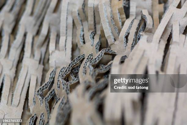 cross section of cardboard corrugated pattern as baskground and texture vertical - cross section stock photos et images de collection