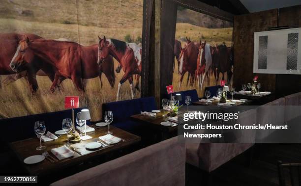 Saloon Ranch 28 Feb 2023 Photos and Premium High Res Pictures - Getty Images