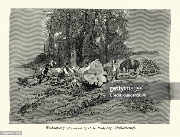 sketch of the woodcutters, sawing a log up, lumber industry, 1840, after edwin landseer, victorian art - old saw blade stock illustrations