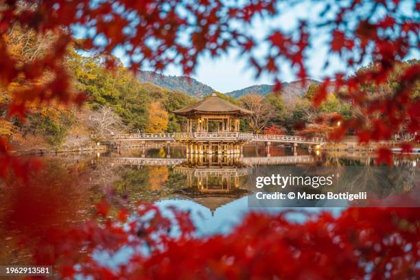 ukimido pavilion in nara park, japan - japón fotografías e imágenes de stock