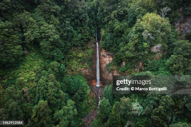 waterfall in lush tropical forest, azores islanda, portugal - islanda fotografías e imágenes de stock