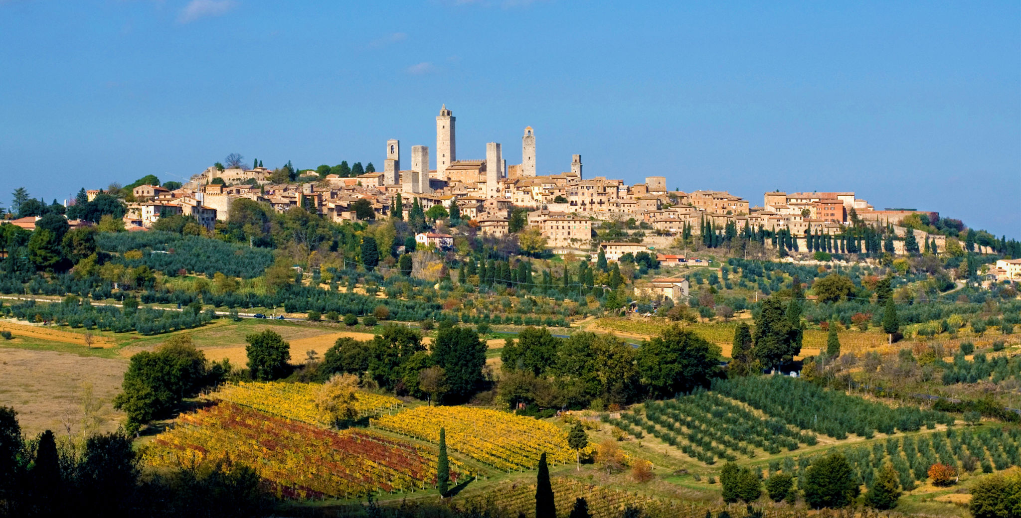 autumn food siena