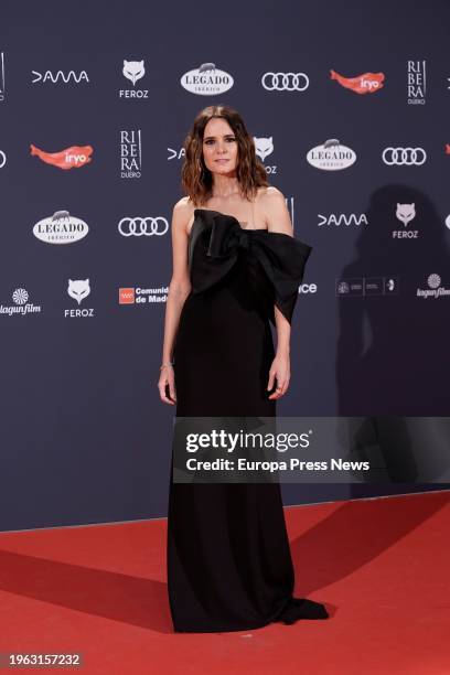 Actress Eva Santolaria poses on the red carpet prior to the gala of the XI edition of the Feroz Awards, at the Palacio de Vistalegre, on 26 January,...