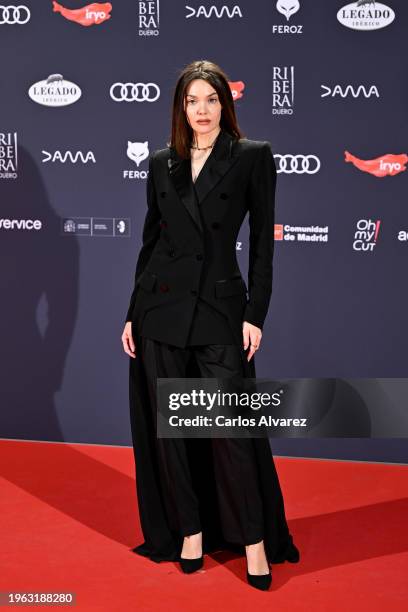 Ana Rujas attends the red carpetof the Feroz Awards 2024 at Palacio Vistalegre Arena on January 26, 2024 in Madrid, Spain.