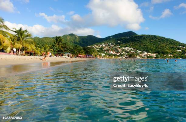 beach of les anses d'arlet - martinique beach stock pictures, royalty-free photos & images