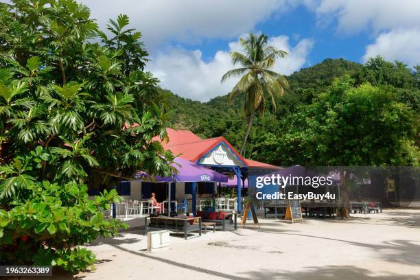 beach club - martinique beach stock pictures, royalty-free photos & images