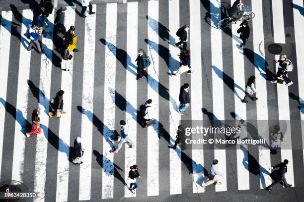 commuters walking at shibuya crossing, tokyo - zebra crossing stock pictures, royalty-free photos & images