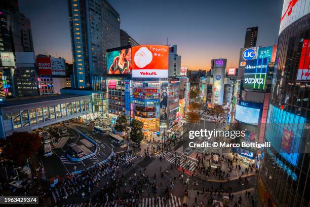shibuya pedestrian crossing and city lights, tokyo, japan - prefettura di tokyo foto e immagini stock