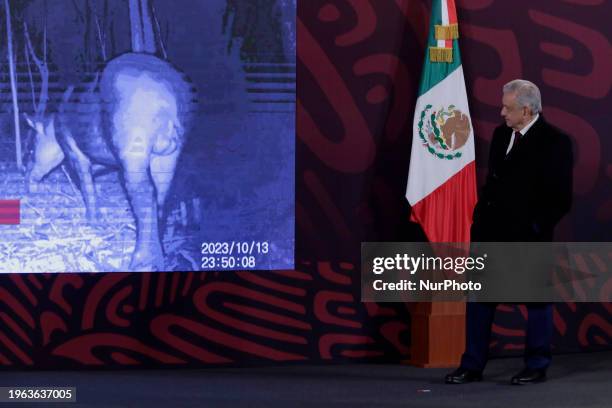 President Andres Manuel Lopez Obrador of Mexico is observing a tapir during a press conference at the National Palace in Mexico City. He is also...