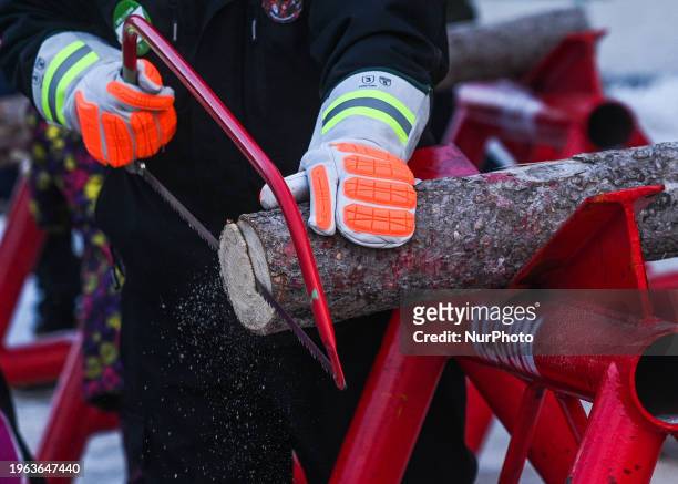 Man cuts a block of wood with a hand saw for wood, on January 20 in Edmonton, Alberta, Canada.