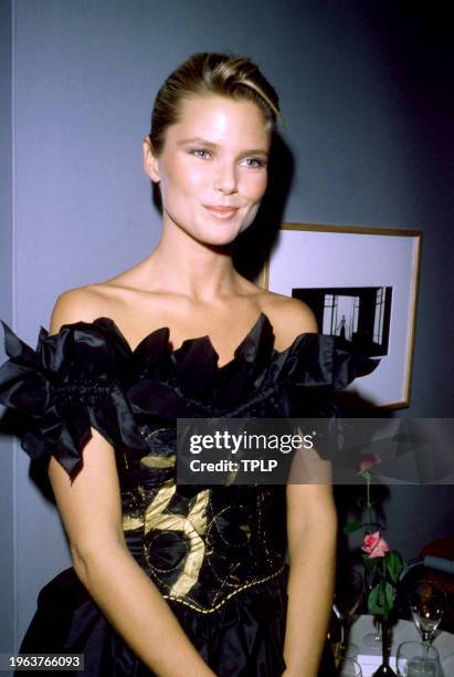 American model Christie Brinkley attends The Men's Fashion Association of America's 1982 American Image Awards at The Sheraton Centre in New York,...