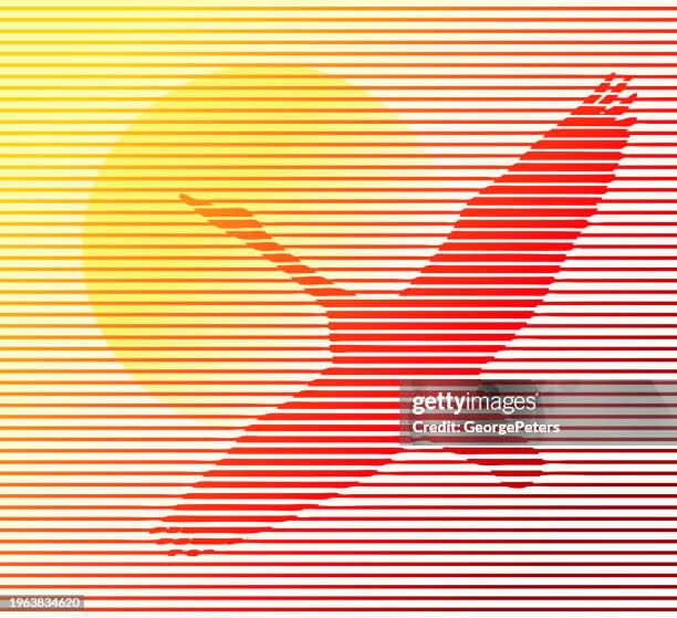 canada goose flying into sunset - canada goose stock illustrations