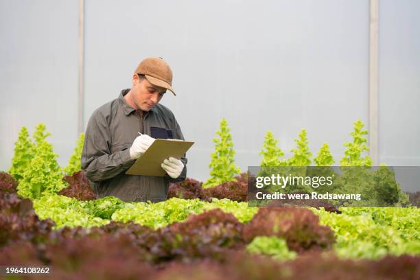 Lab Picker 107 Lab Picker Stock Photos, High-Res Pictures, and Images - Getty Images