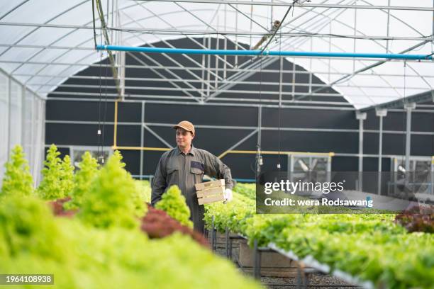 Lab Picker 107 Lab Picker Stock Photos, High-Res Pictures, and Images - Getty Images