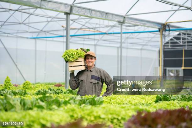 Lab Picker 110 Lab Picker Stock Photos, High-Res Pictures, and Images - Getty Images