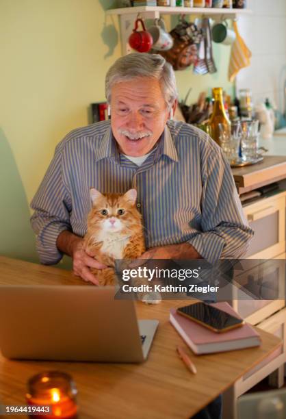 senior man and his cat sitting at kitchen table, using laptop - neva masquerade stock pictures, royalty-free photos & images