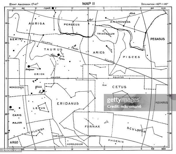 old engraved illustration of astronomy - characteristic constellation figures - arctic birds stock pictures, royalty-free photos & images