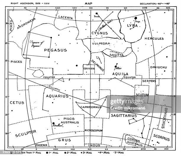 old engraved illustration of astronomy - characteristic constellation figures - arctic birds stock pictures, royalty-free photos & images