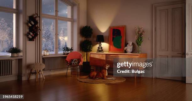 cozy home interior - quadrupedalism stock pictures, royalty-free photos & images