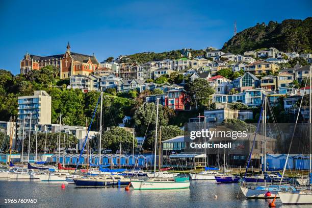 mount victoria hillside houses along wellington harbour - wellington new zealand - wellington new zealand harbour stock pictures, royalty-free photos & images