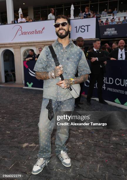 Anuel AA attends the 2024 Pegasus World Cup Presented By Baccarat at Gulfstream Park on January 27, 2024 in Hallandale, Florida.