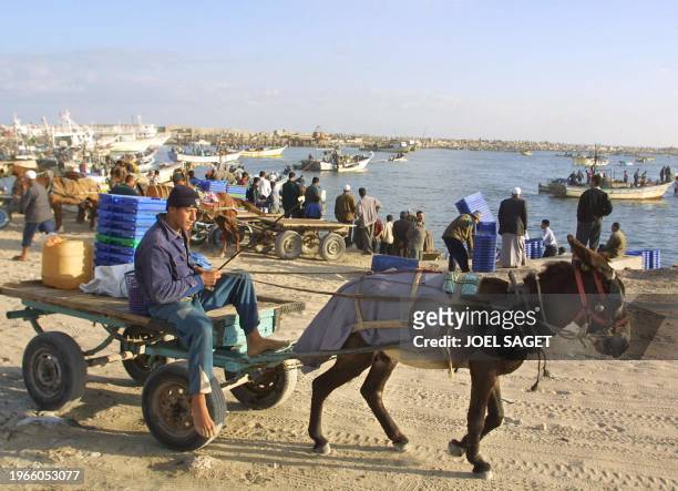 Palestinian boy carries fish plastic containers on a donkey cart at Gaza City's port 25 April 2001. The Israeli navy temporarily closed off Gaza's...
