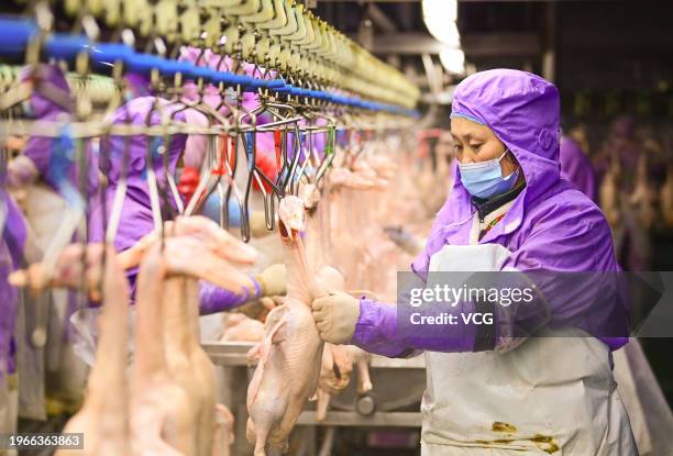 An employee works at a duck processing factory on January 26, 2024 in Chifeng, Inner Mongolia Autonomous Region of China.