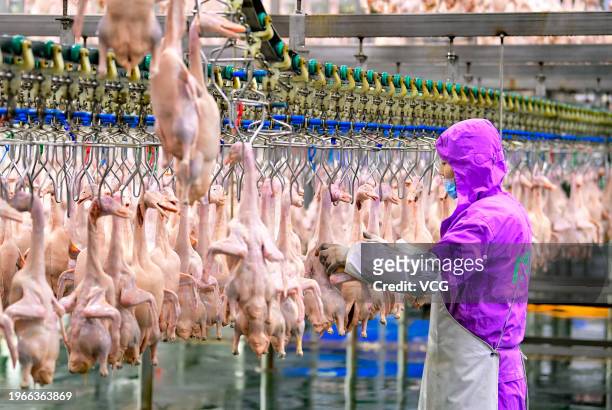 An employee works at a duck processing factory on January 26, 2024 in Chifeng, Inner Mongolia Autonomous Region of China.
