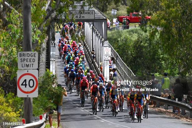 Dario Cataldo of Italy and Team Lidl-Trek leads the peloton during the 8th Cadel Evans Great Ocean Road Race 2024 - Men's Elite a 174.3km one day...